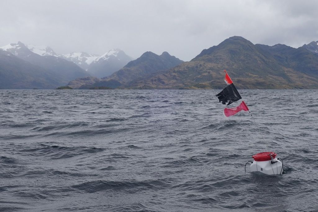 002_VOCALIZACIONES DE BALLENAS JOROBADAS EN EL ESTRECHO DE MAGALLANES