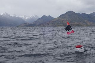 002_VOCALIZACIONES DE BALLENAS JOROBADAS EN EL ESTRECHO DE MAGALLANES