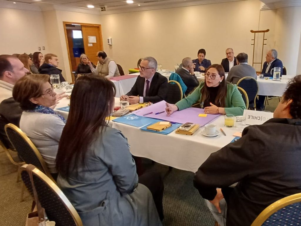 prochilemagallanes prochilemagallanes