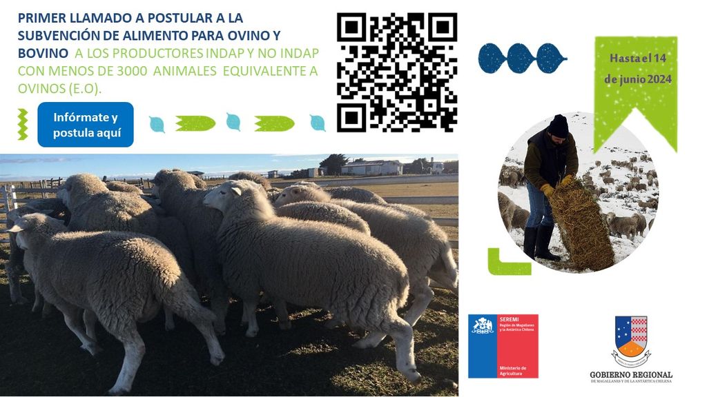 info subvención  (1) info subvención  (1)