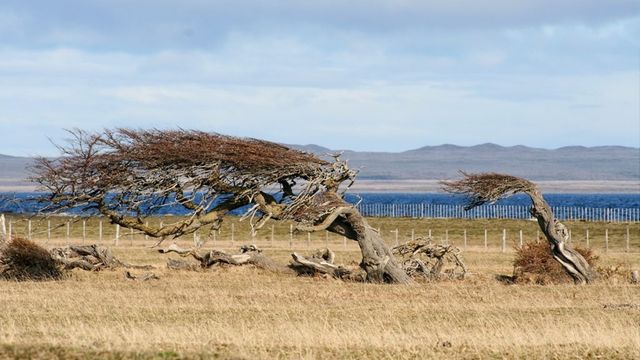 imagenrioverde imagenrioverde