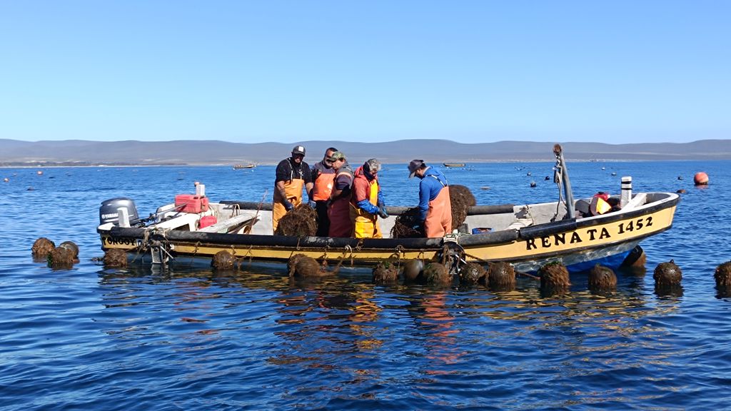pescadores