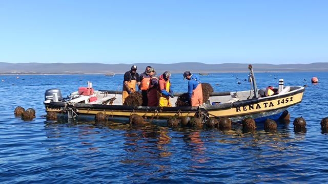 pescadores pescadores
