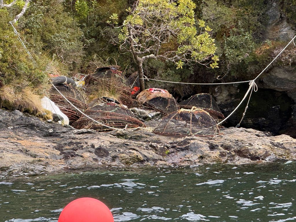 operacionfroward