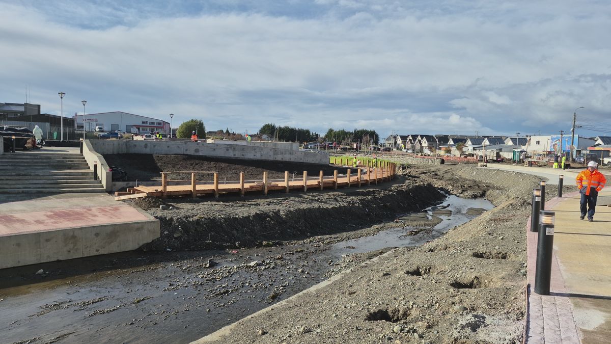 esterollaullau esterollaullau