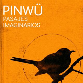 Pinwü - Pasajes imaginarios
