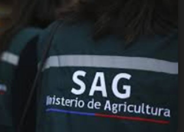 sag-fun