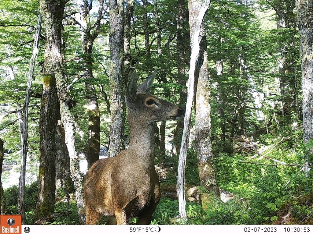 2023 02 07 10 30 53 2023 02 07 10 30 53