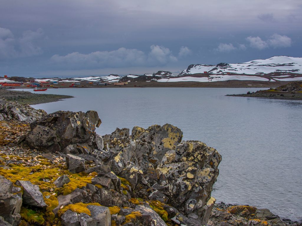 idealantartica idealantartica