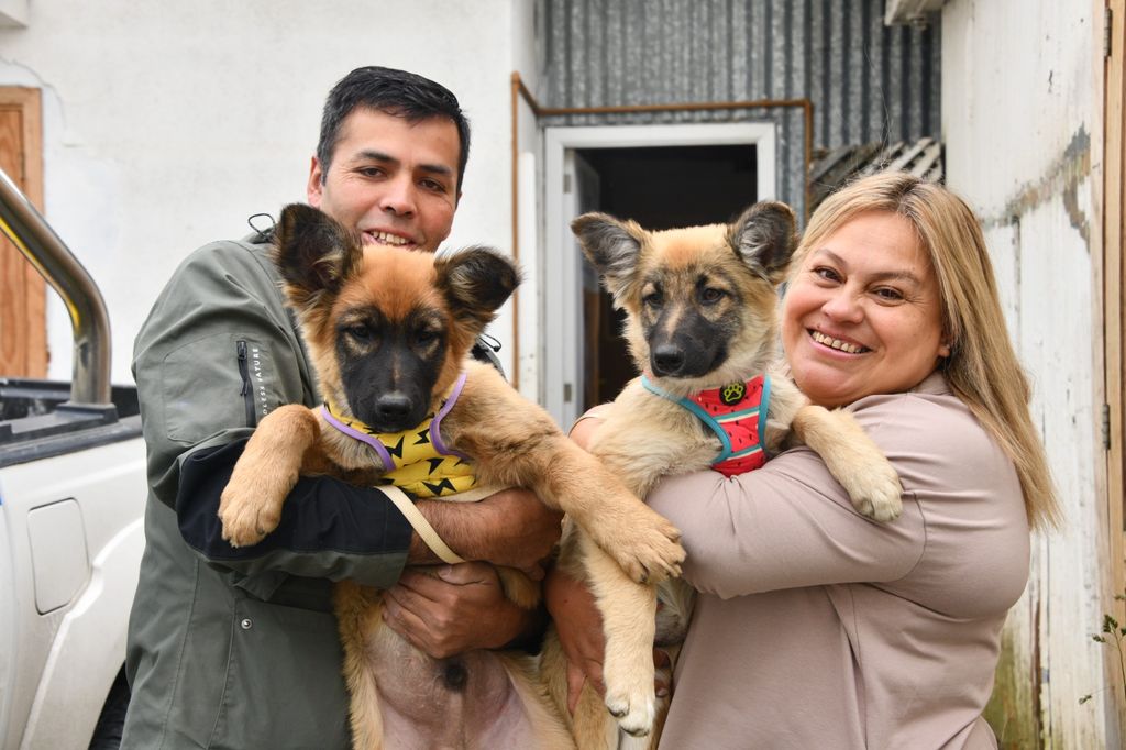 Atención primaria para mascotas (2) Atención primaria para mascotas (2)
