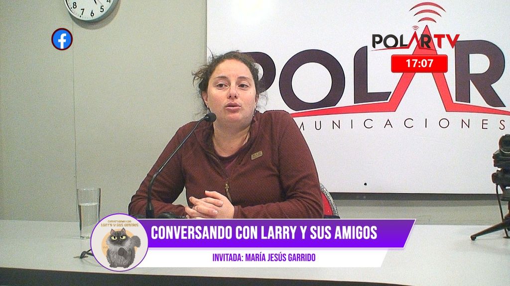 Imagen de WhatsApp 2024-04-01 a las 17 Imagen de WhatsApp 2024-04-01 a las 17