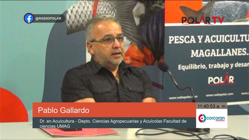 pablogallardo pablogallardo