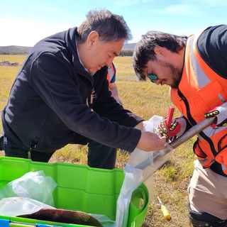 toma de muestras enero 2026