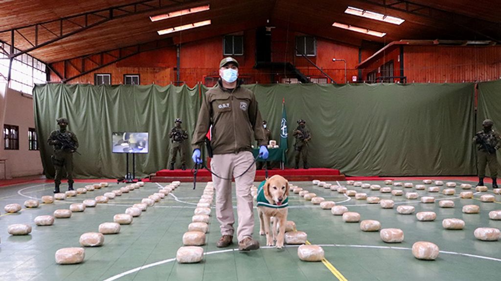 file_20240920124957 file_20240920124957