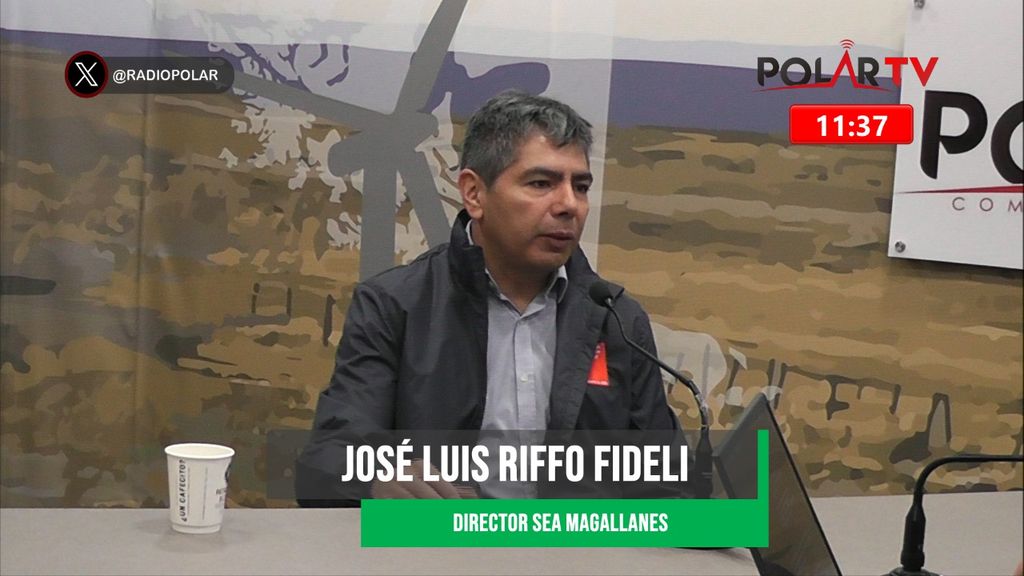 Imagen de WhatsApp 2024-11-05 a las 11 Imagen de WhatsApp 2024-11-05 a las 11