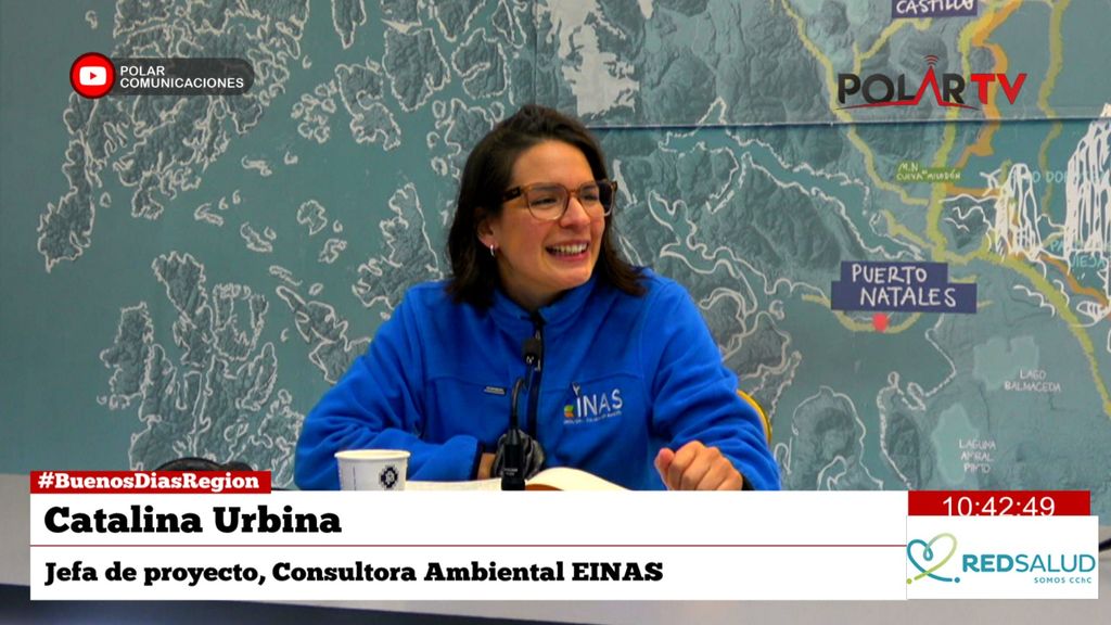 consultoraEinas consultoraEinas