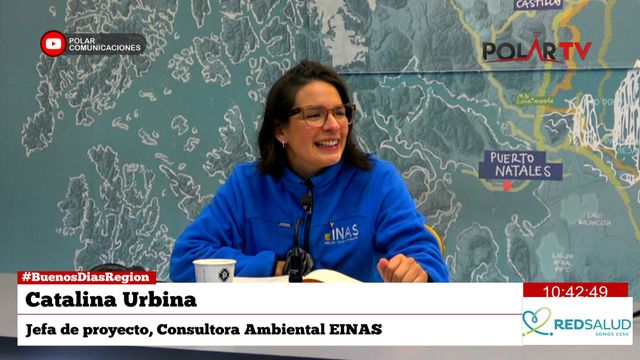consultoraEinas