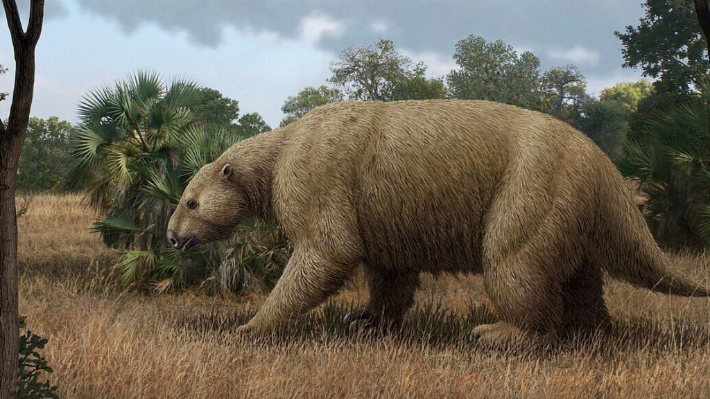 perezoso-gigante perezoso-gigante