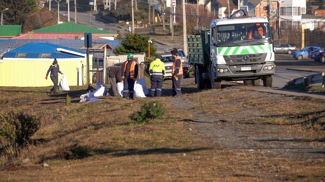 JORNADA DE LIMPIEZA (8)
