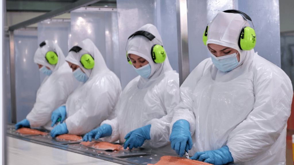 salmonicultura7_ds salmonicultura7_ds