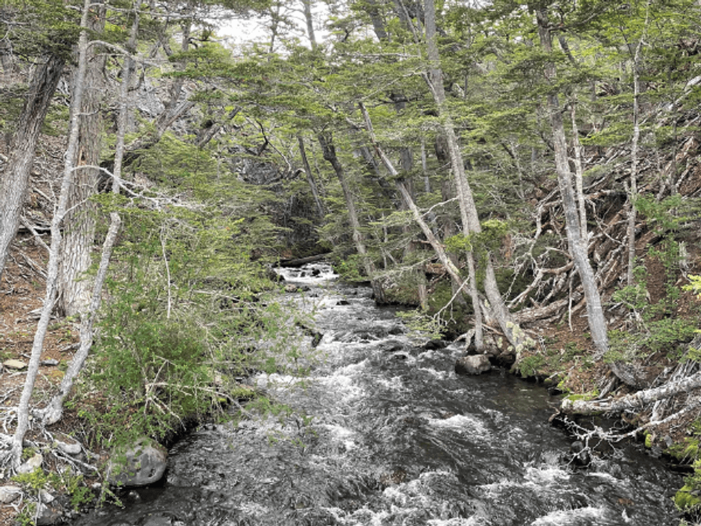 dga918204k dga918204k