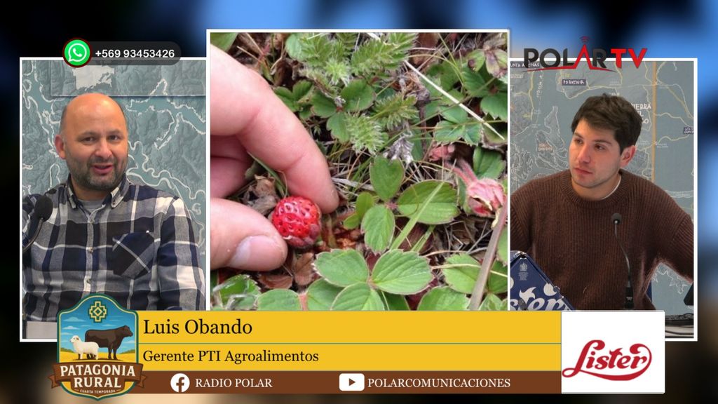 Patagonia Rural Patagonia Rural