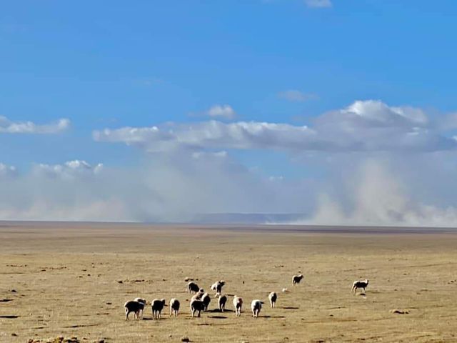laguna blanca