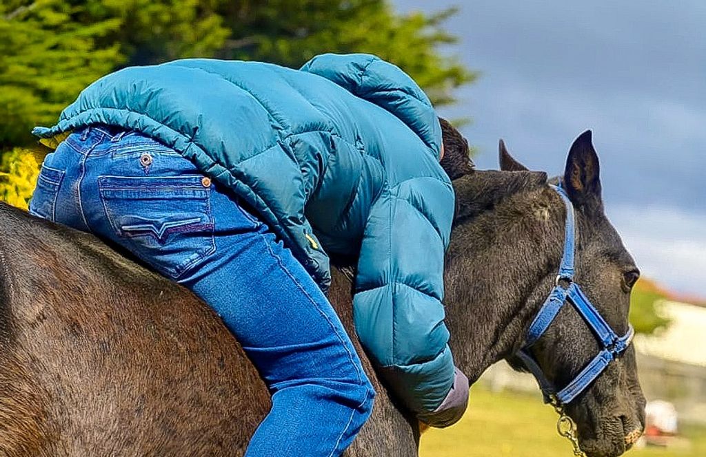 Imagen de WhatsApp 2025-02-12 a las 15 Imagen de WhatsApp 2025-02-12 a las 15