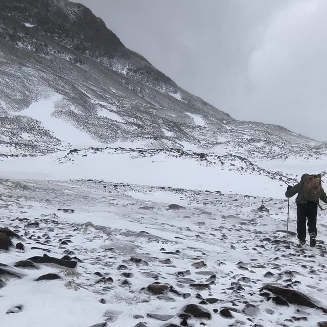 macizopaine macizopaine