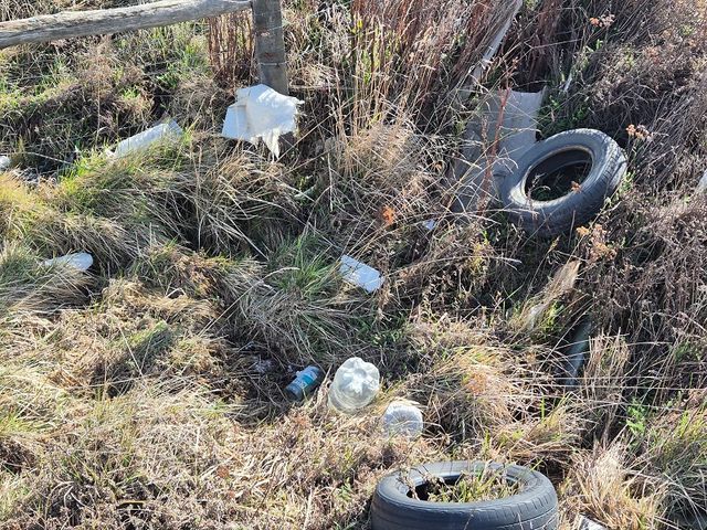 Residuos en Humedal Tres Puentes (1) Residuos en Humedal Tres Puentes (1)