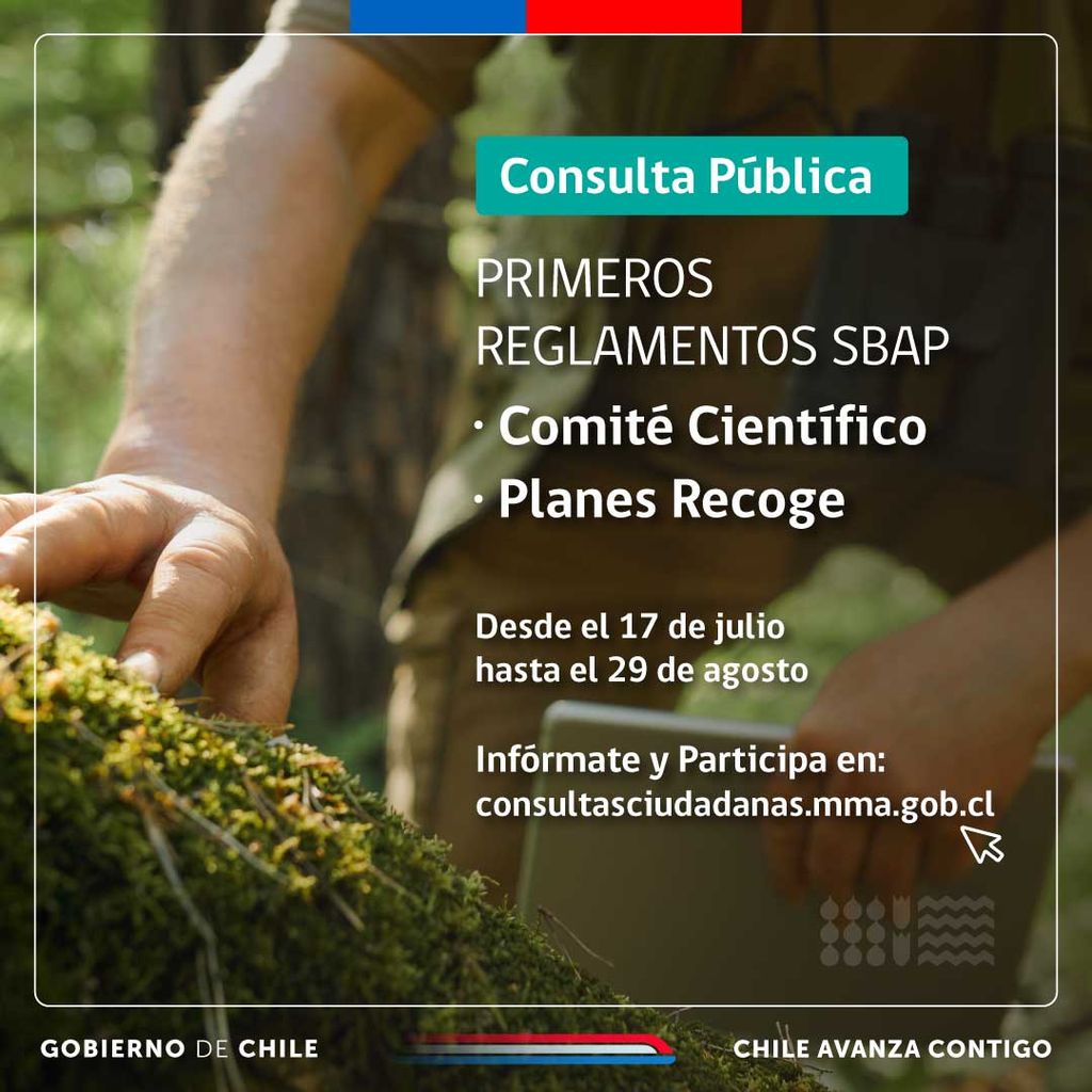 Primeros-Reglamentos-SBAP (1) Primeros-Reglamentos-SBAP (1)