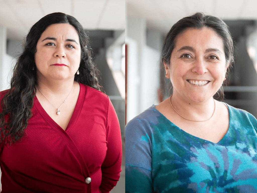 academicas stem academicas stem