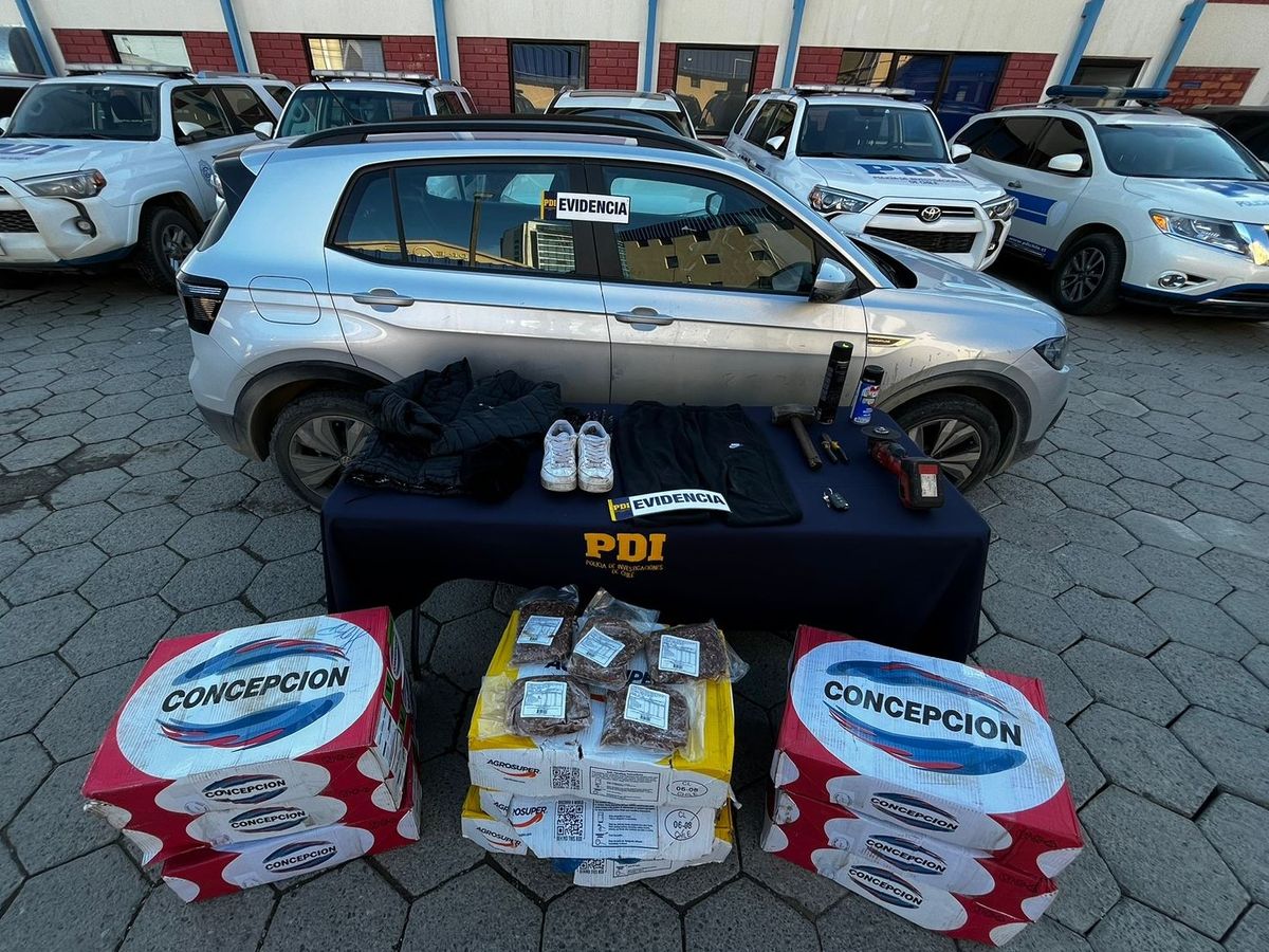PDI PUNTA ARENAS DETUVO A DOS HOMBRES POR EL DELITO DE ROBO EN LUGAR NO ...