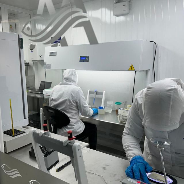 ALVAREZ-Y-ALVAREZ-2 ALVAREZ-Y-ALVAREZ-2