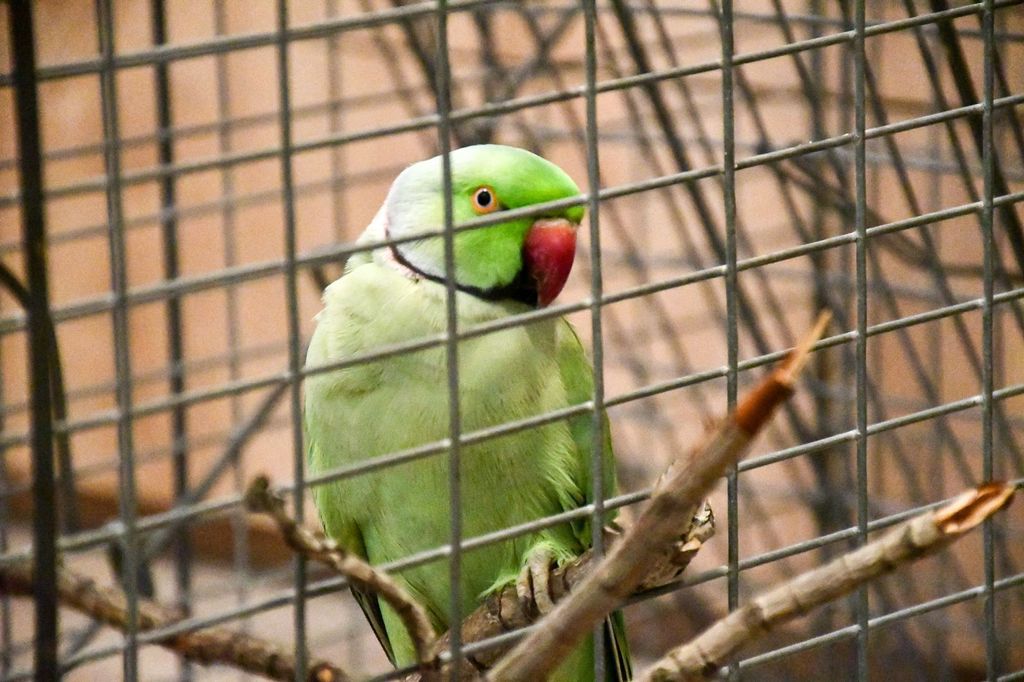 PHOTO-2024-10-20-16-10-39 (1) PHOTO-2024-10-20-16-10-39 (1)