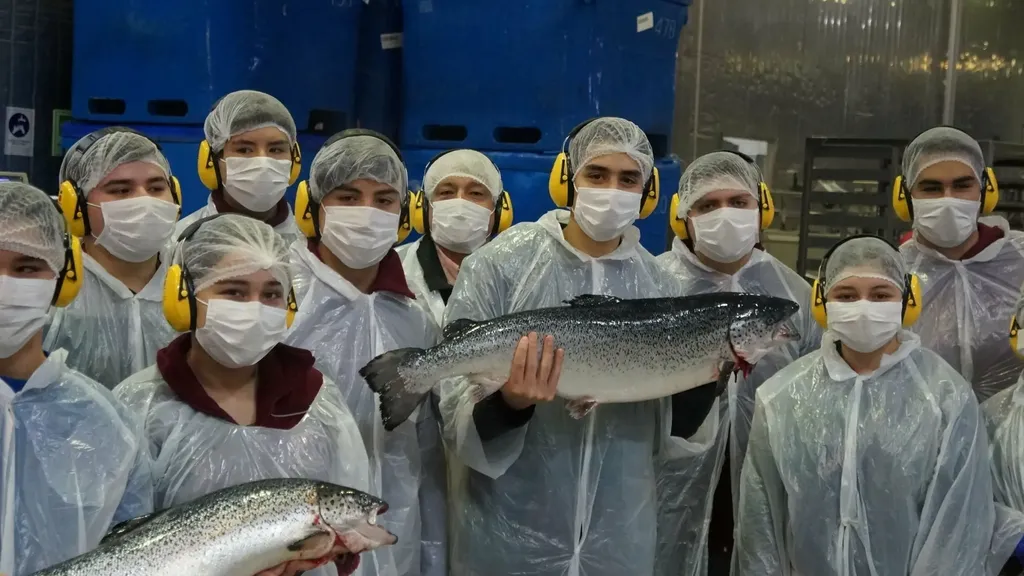 novaaustralestudiantes novaaustralestudiantes