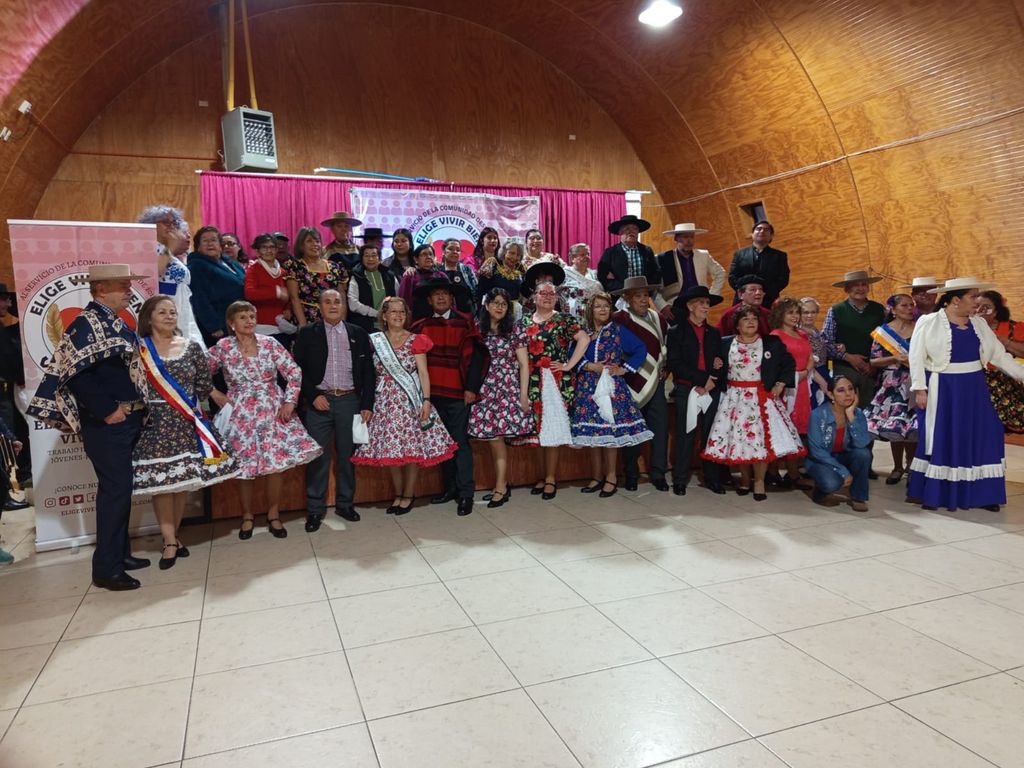 vivebienvivefelizcueca vivebienvivefelizcueca