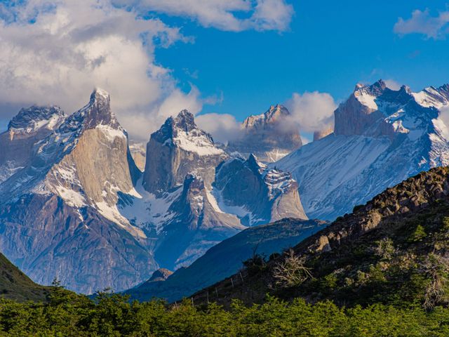 macizopaine macizopaine