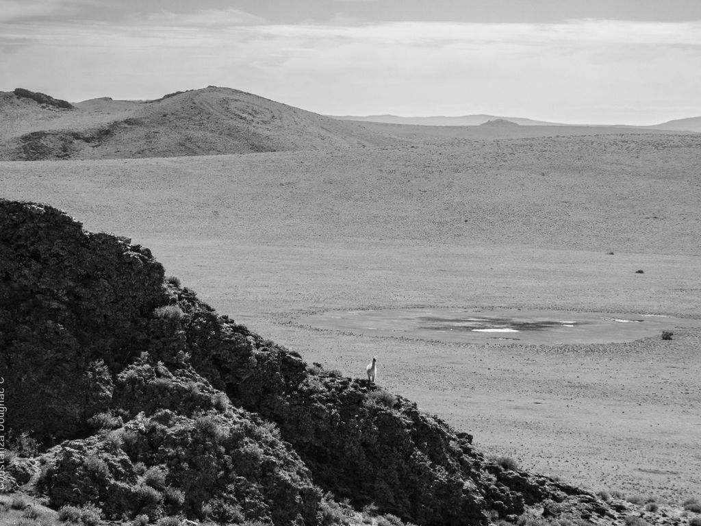 PN- Pali Ake (1) PN- Pali Ake (1)