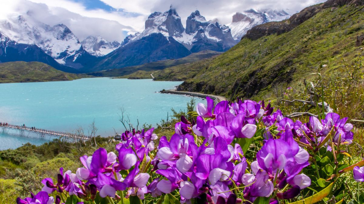torres del paine torres del paine