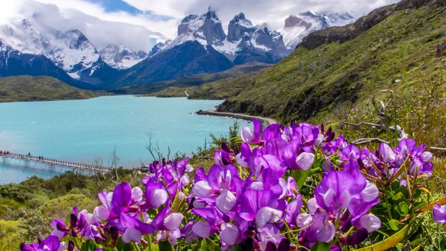 torres del paine torres del paine
