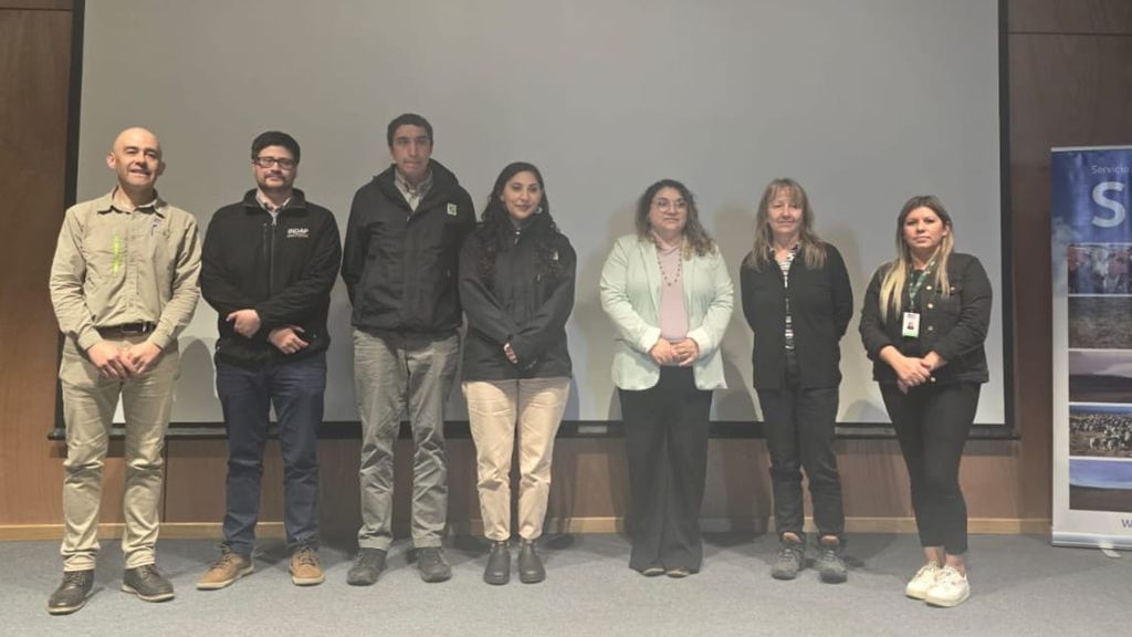 IMG-20241129-WA0018 IMG-20241129-WA0018