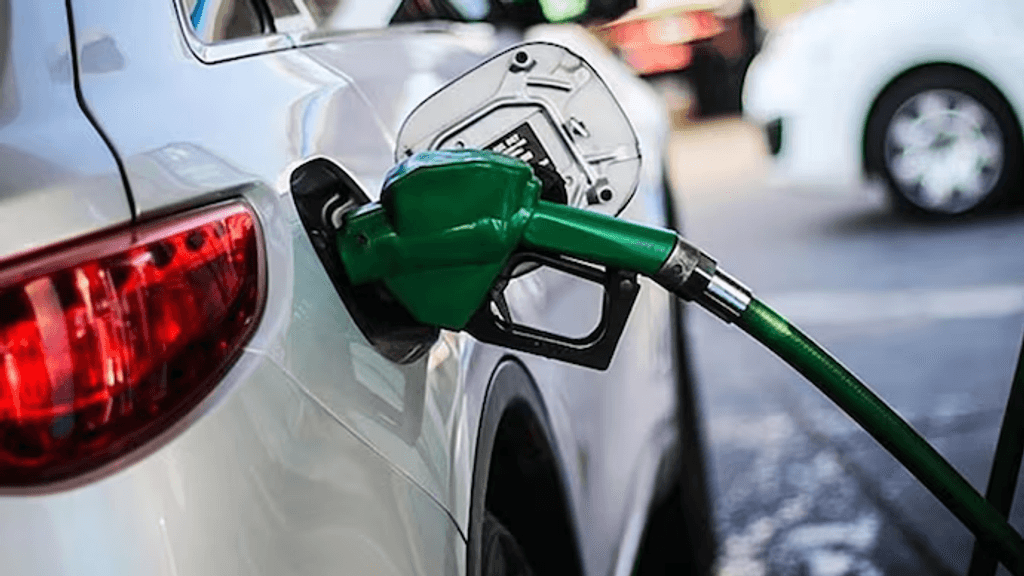 ALZA COMBUSTIBLE ALZA COMBUSTIBLE