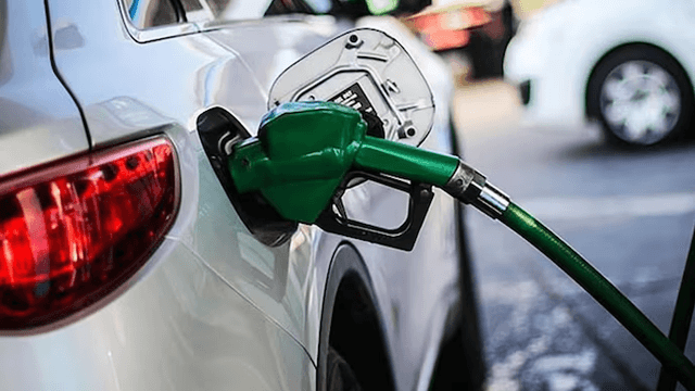 ALZA COMBUSTIBLE ALZA COMBUSTIBLE