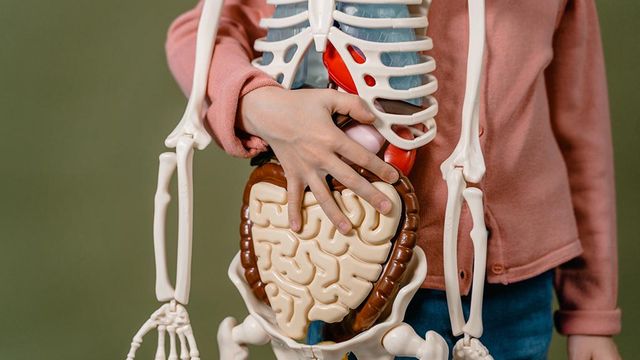 Día Mundial del Trasplante de Órganos y Tejidos Día Mundial del Trasplante de Órganos y Tejidos