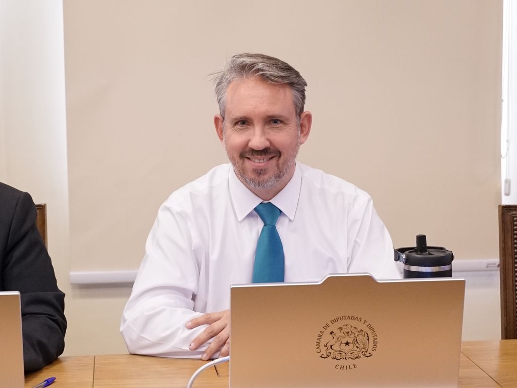 diputadoriquelmeducci