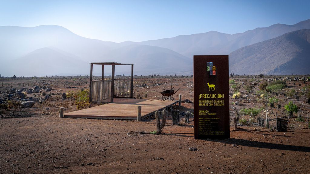 proyecto-dominga-1 proyecto-dominga-1