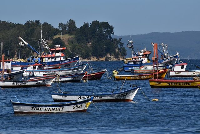 SECOS_2 (1) SECOS_2 (1)