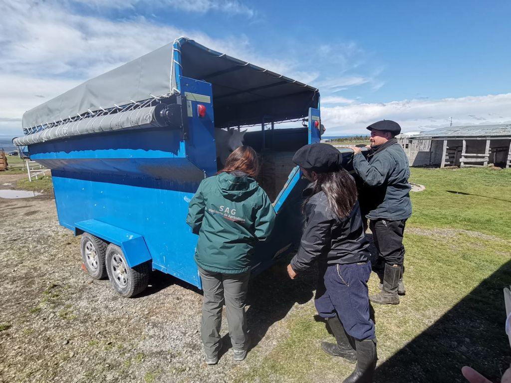 IMG-20241104-WA0018 IMG-20241104-WA0018