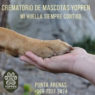 YOPPERN NUEVO 336x336 YOPPERN NUEVO 336x336
